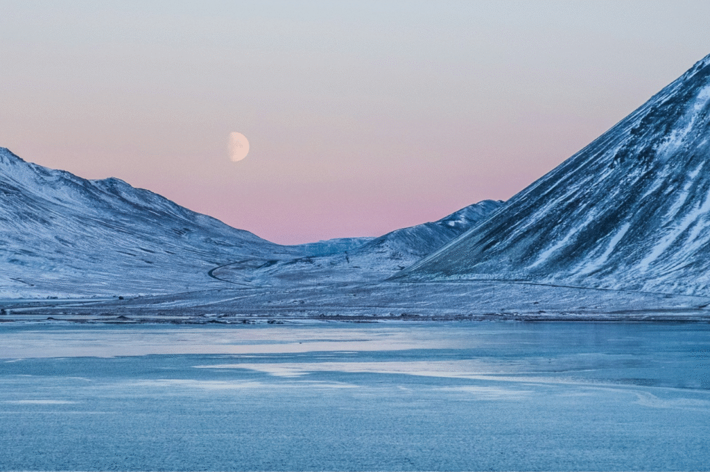 Arctic
