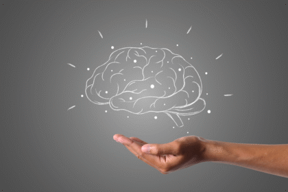 Memory selection in the brain