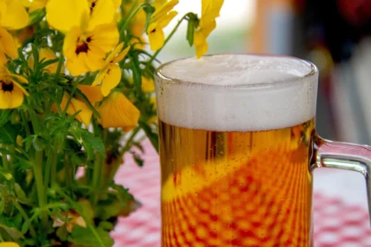 Donoghue v Stevenson