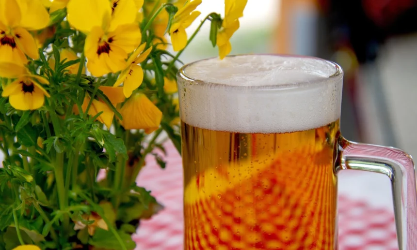 Donoghue v Stevenson