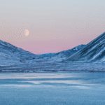 Arctic