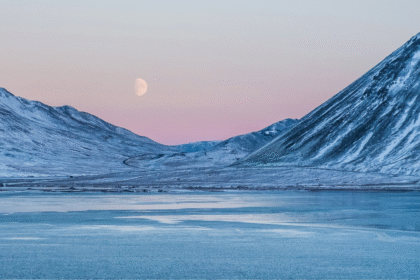 Arctic