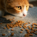 Cats stop eating